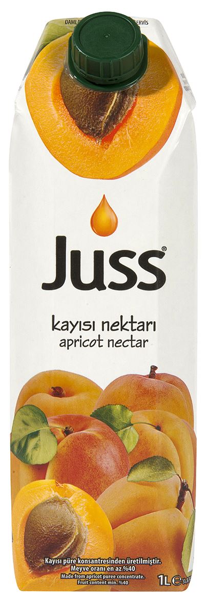 JUSS KAYISI 1000 ML