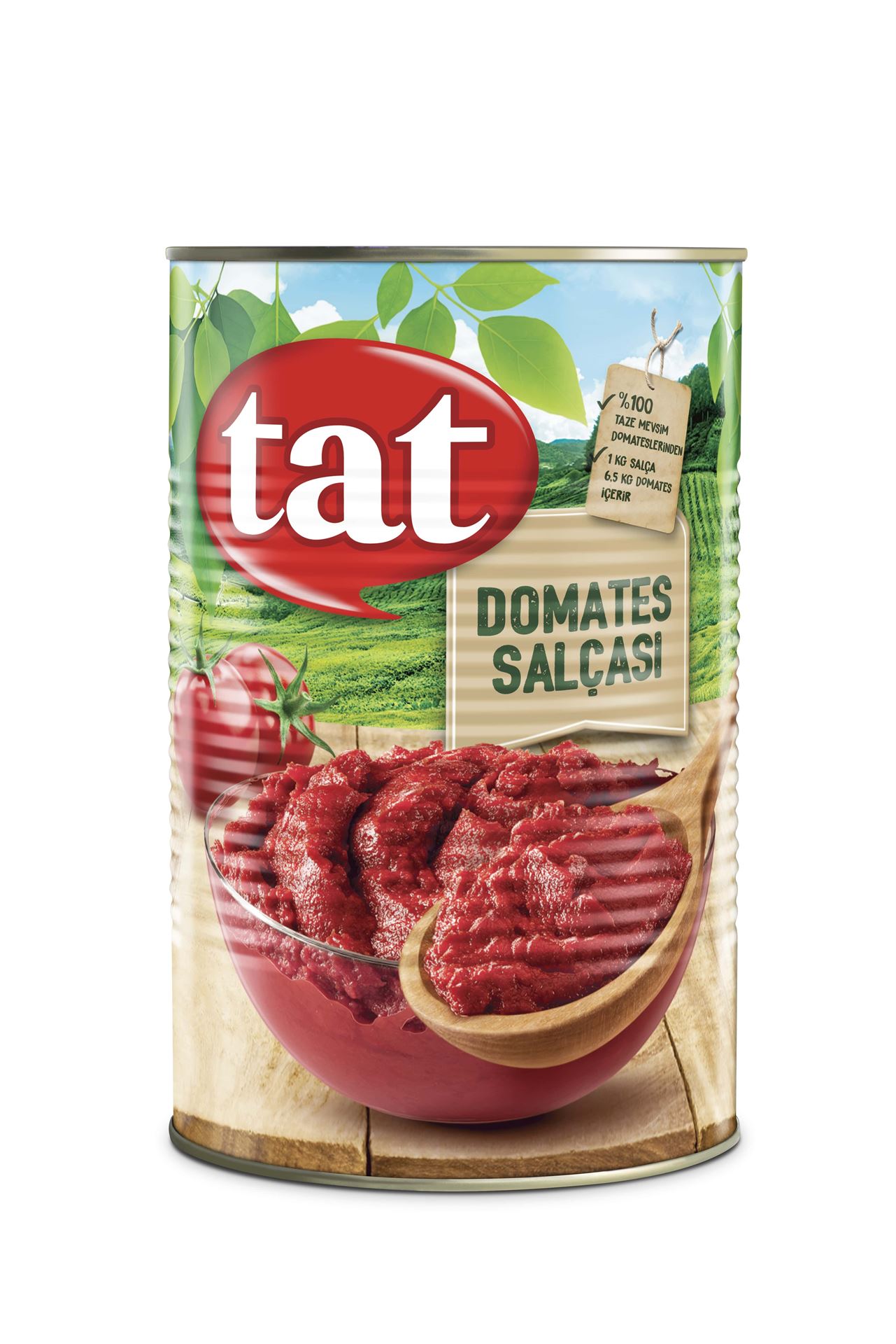 TAT DOMATES SALÇASI 4300 GR