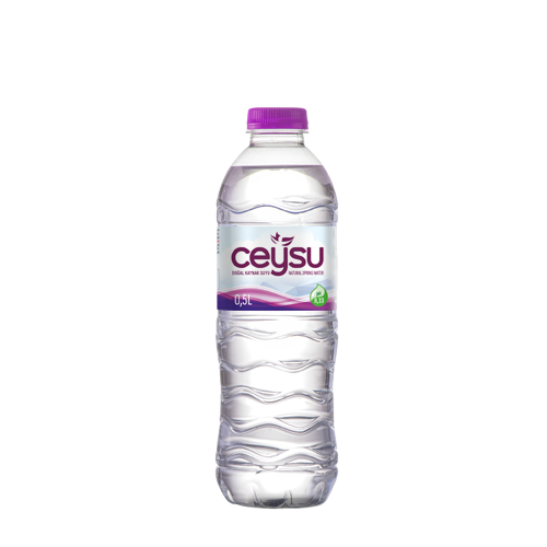 CEYSU PET ŞİŞE 0,50 LT 