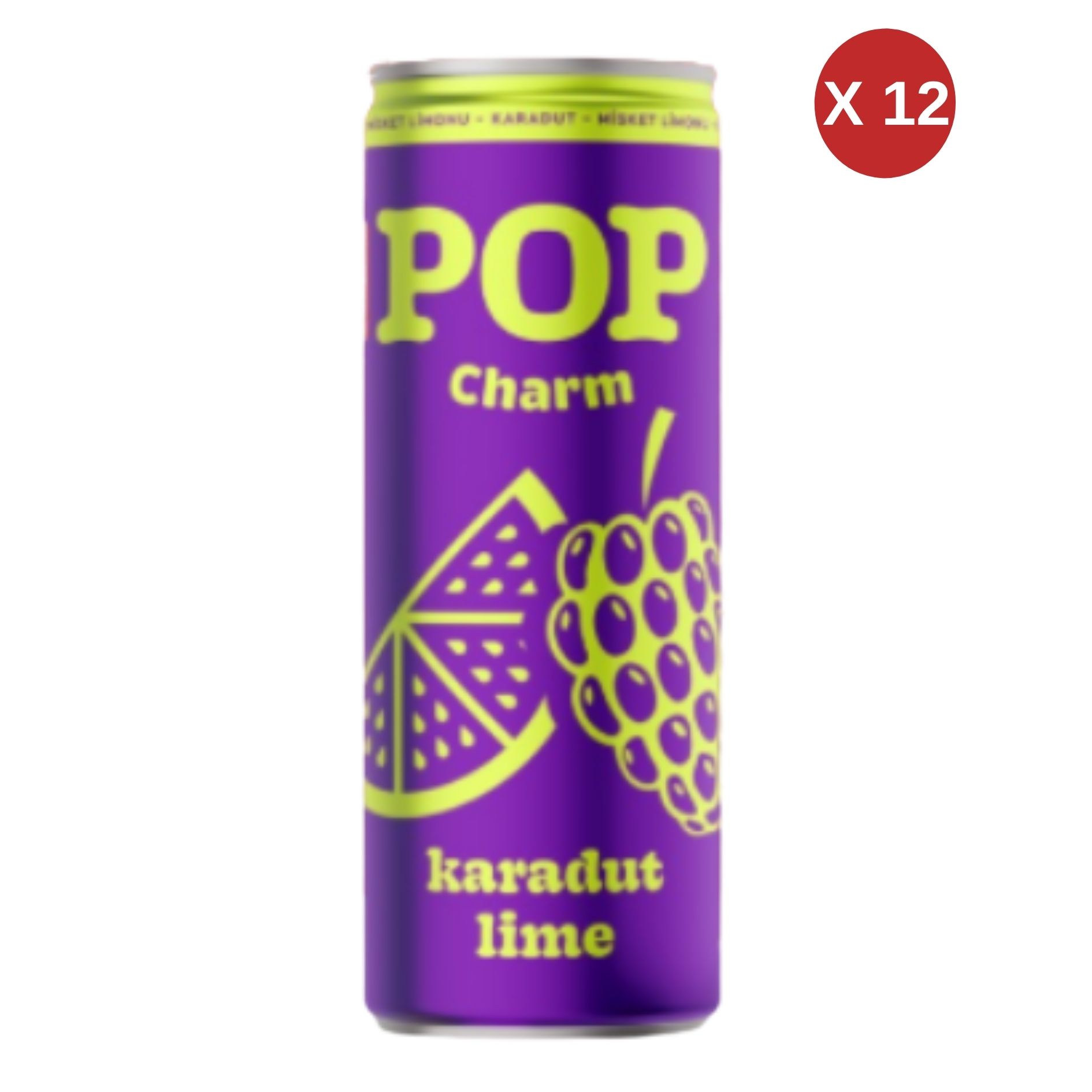 DİMES KARADUT LİME İÇECEĞİ  250 ML 12 ADET