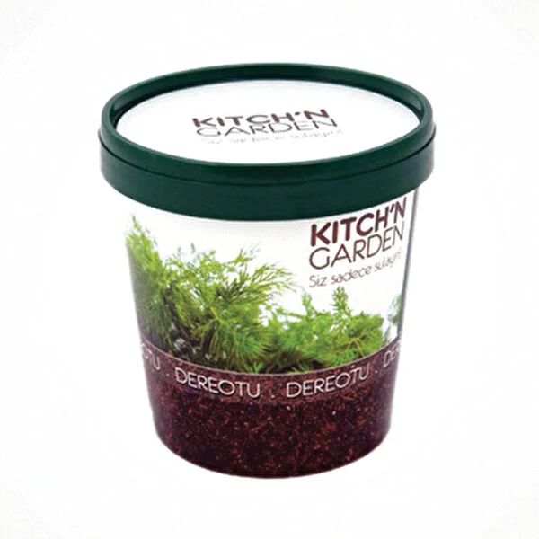  KİTCH'N GARDEN DEREOTU YETİŞTİRME SETİ