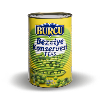 BURCU BEZELYE- 4250
